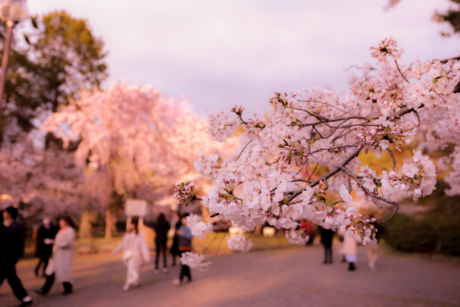 Dove andare in primavera
