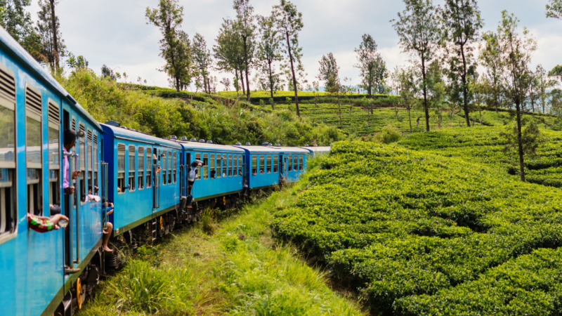 10 GIORNI IN SRI LANKA