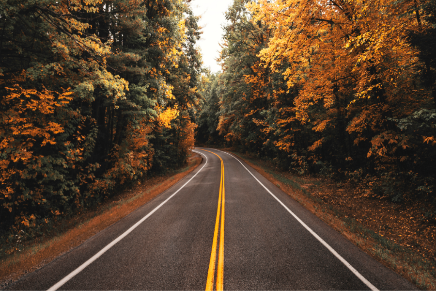 foliage in new england: on the road negli states