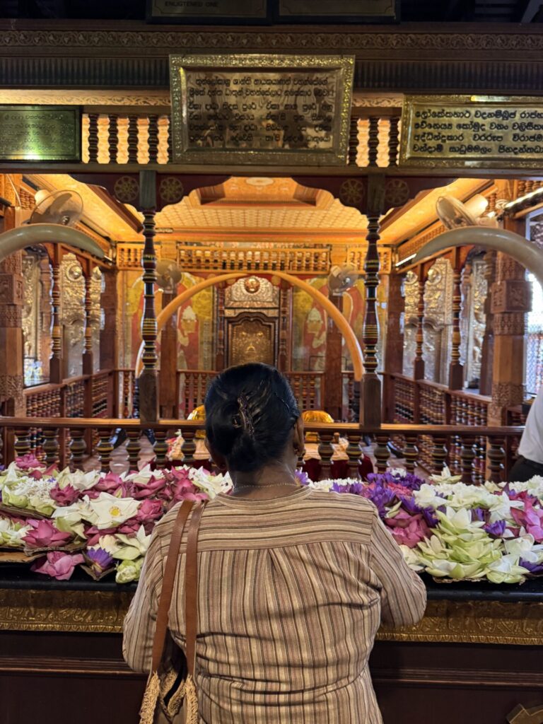 tempio del dente del buddha, cosa vedere in sri lanka