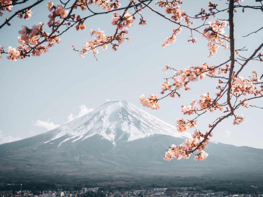 Il monte Fuji in Giappone innevato sotto un cielo limpido, incorniciato da delicati fiori di ciliegio in primo piano, trasmette una scena serena e pittoresca.