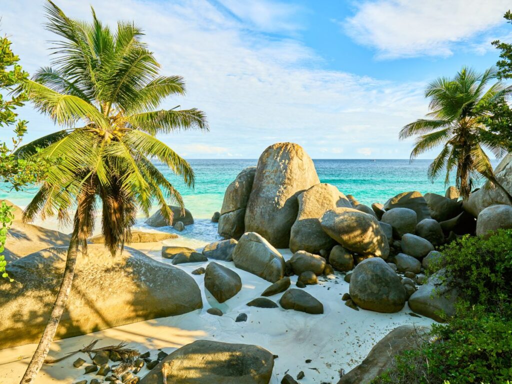 Tra i viaggi più belli da fare in Africa ci sono le Seychelles. Spiaggia tropicale con grandi massi di granito, palme rigogliose e sabbia bianca che si affaccia sull'oceano turchese sotto un cielo azzurro brillante. Serena e invitante.
