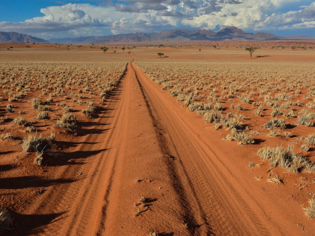 guidare in namibia