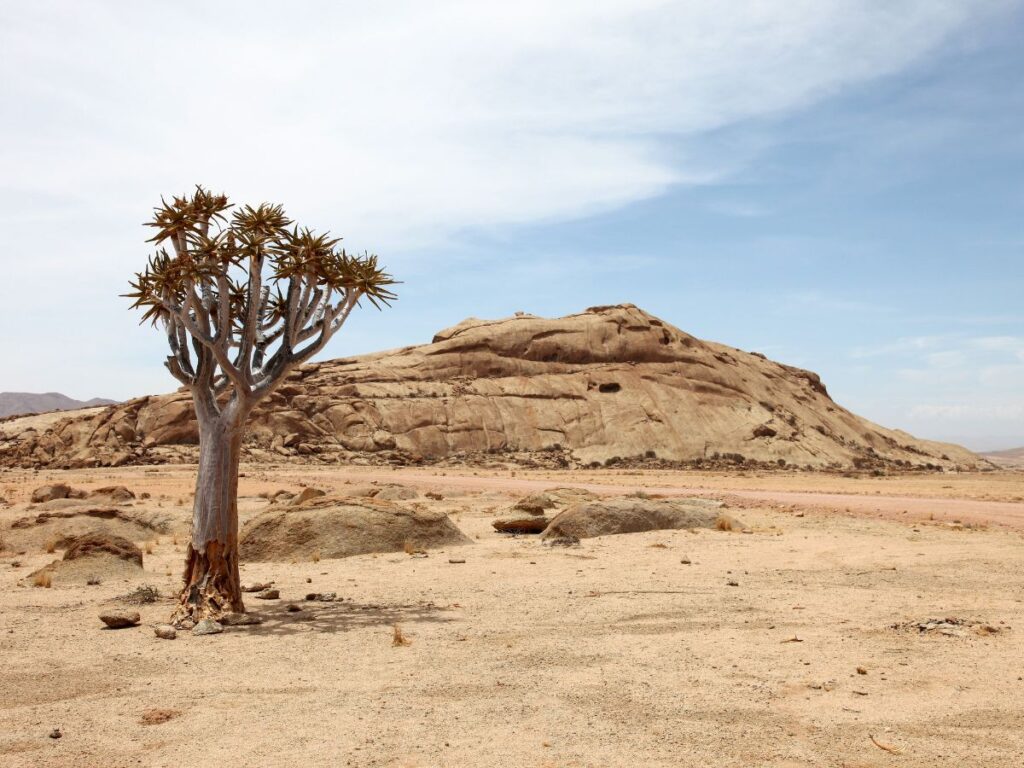 10 giorni in namibia