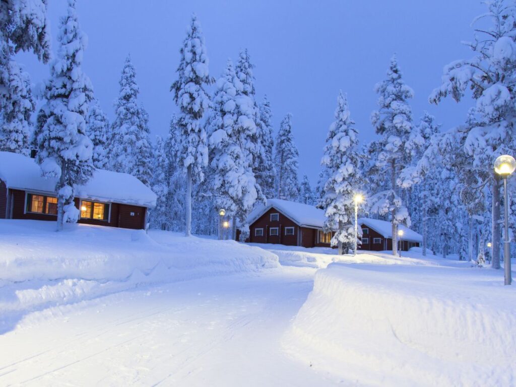 foresta innevata in lapponia