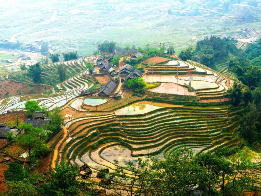 vista panoramica delle risaie di Sapa durante un viaggio in moto in Vietnam