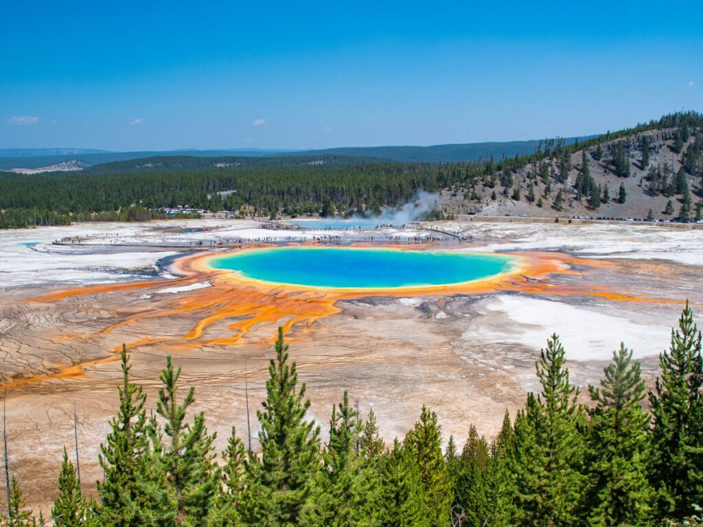 Sorgente termale dai colori vivaci, con sfumature blu, verdi, gialle e arancioni, circondata da terreni aridi e pini sotto un cielo azzurro e terso; una meraviglia naturale mozzafiato. Yellowstone, tra i parchi di Utah e Wyoming