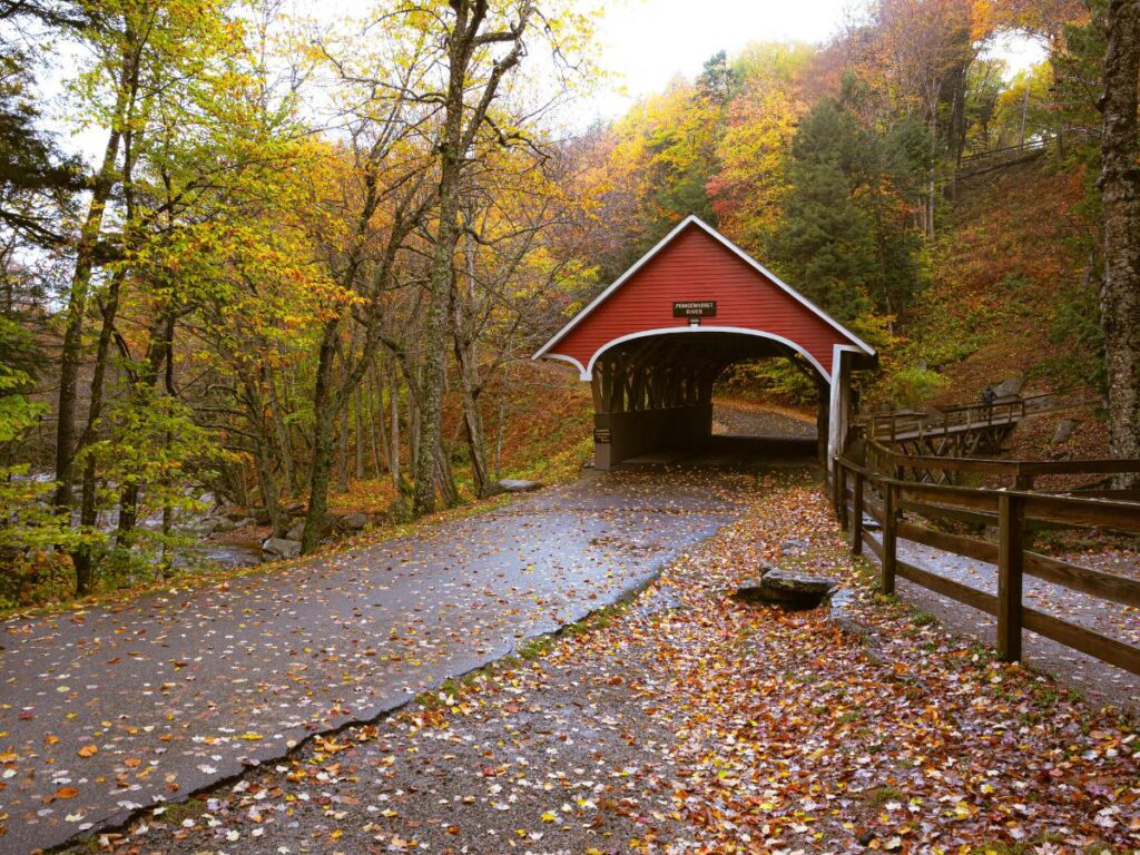 Un ponte coperto di rosso attraversa un sentiero disseminato di foglie in una tranquilla foresta autunnale, con un vivace fogliame autunnale e una staccionata di legno, creando una scena nostalgica e pacifica.