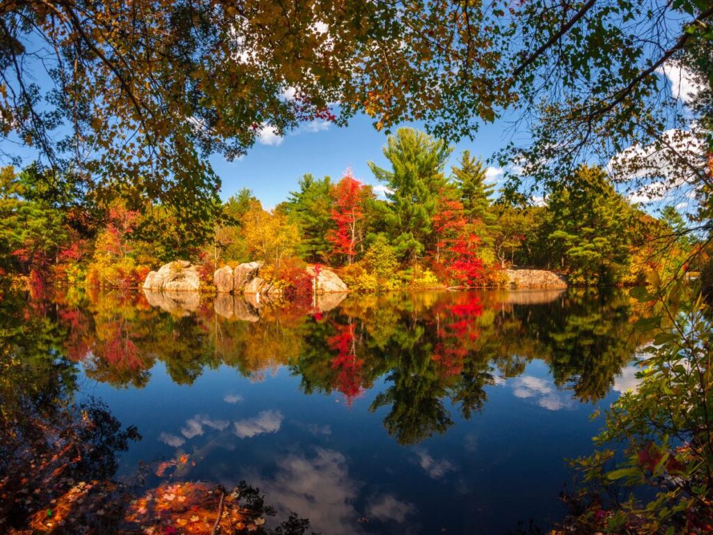 Un lago tranquillo riflette il vivace fogliame autunnale e il cielo azzurro e terso, incorniciato da rami frondosi. La scena evoca un'atmosfera serena e pacifica.