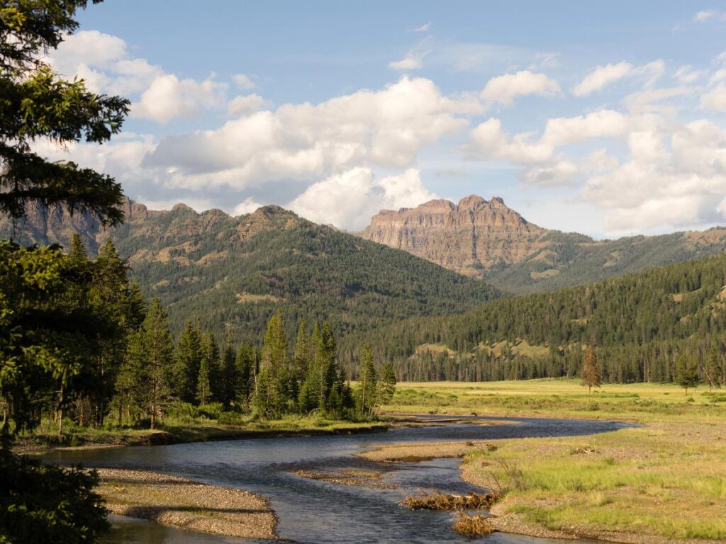 Un paesaggio sereno con un fiume tortuoso in primo piano, rigogliose foreste di pini e maestose montagne sotto un cielo azzurro punteggiato di soffici nuvole.