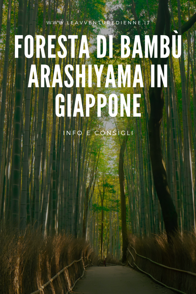 foresta di bambù arashiyama in giappone