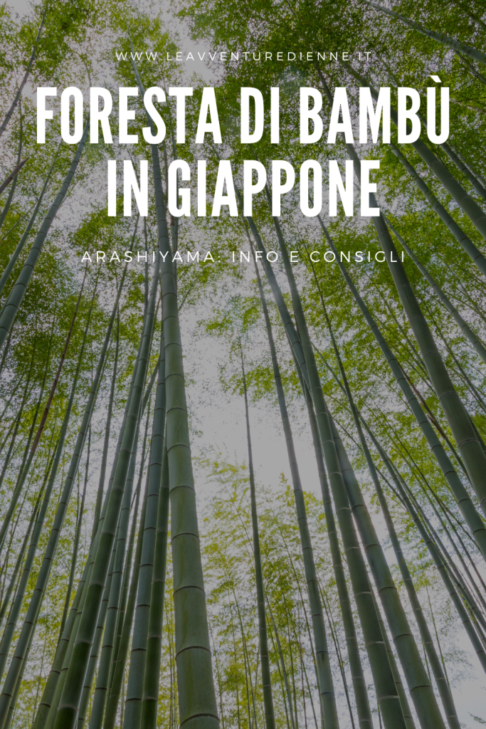 foresta di bambù in giappone