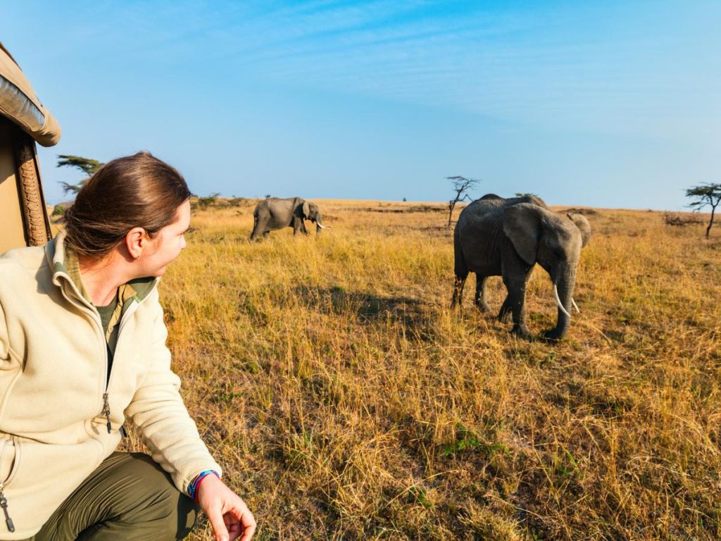 Una donna seduta all'interno di un veicolo da safari osserva da vicino due elefanti che camminano nella savana sotto un cielo azzurro. Utile per sapere come vestirsi per un safari.