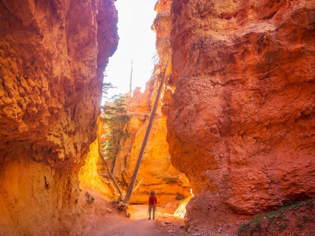 Un escursionista con zaino e bastoncini da trekking cammina tra le strette e alte pareti di un "slot canyon" nel Bryce Canyon. La luce solare filtra dall'alto illuminando le rocce arancioni e un tronco d'albero secco incastrato tra le pareti.