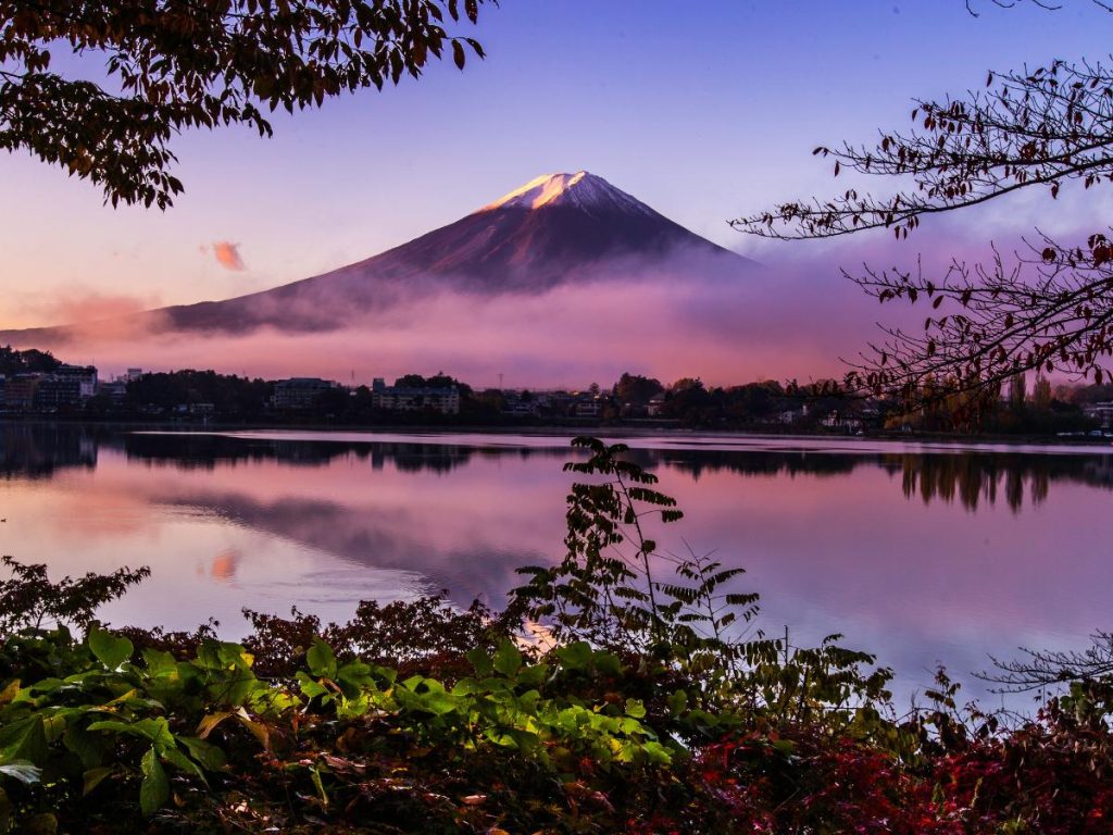 Una veduta panoramica del Monte Fuji all'alba o al tramonto, con la cima innevata illuminata da una luce dorata. La montagna emerge da una fitta coltre di nebbia rosa che sovrasta un lago calmo, il quale riflette i colori violacei del cielo. In primo piano, rami d'albero incorniciano la scena.