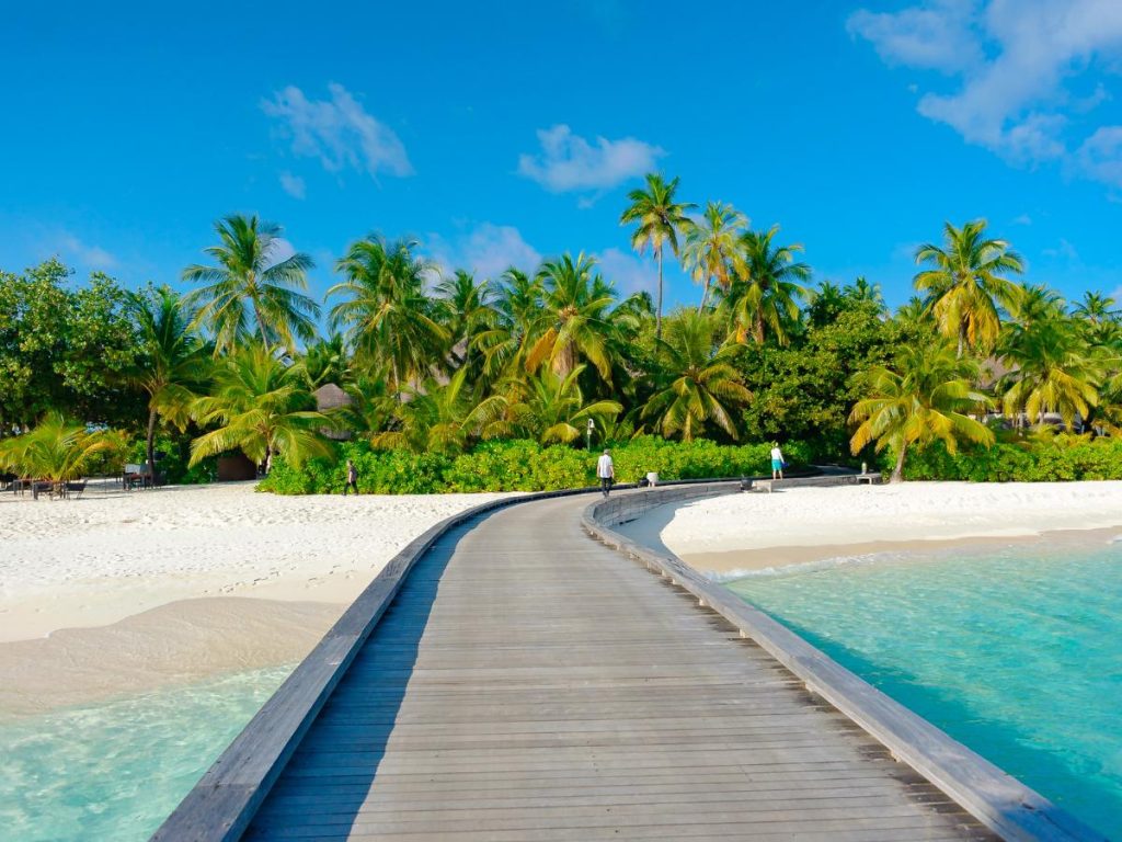 Un pontile in legno marrone attraversa un mare cristallino color turchese e conduce verso una spiaggia di sabbia bianca finissima alle isole Fiji. Sullo sfondo, una fitta vegetazione tropicale con alte palme da cocco si staglia contro un cielo azzurro e limpido.