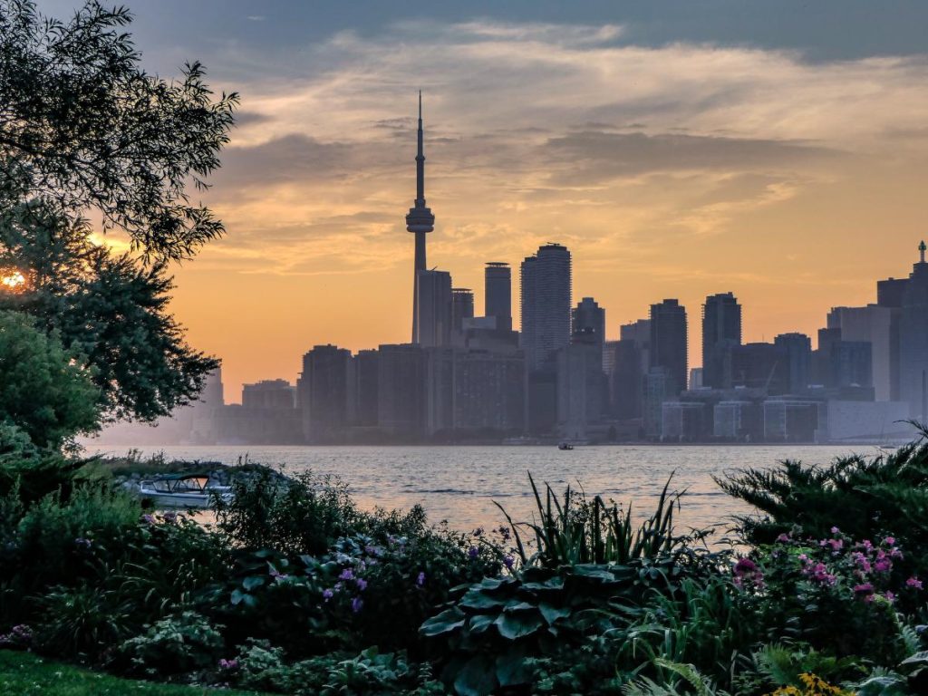 Silhouette del profilo urbano (skyline) di Toronto al tramonto, nel Canada orientale, dominato dalla slanciata CN Tower e circondato da grattacieli scuri. Il sole cala sulla sinistra colorando il cielo di sfumature arancioni e gialle. In primo piano, al di là dell'acqua, si staglia una sponda ricca di vegetazione fiorita, piante e alberi in ombra.