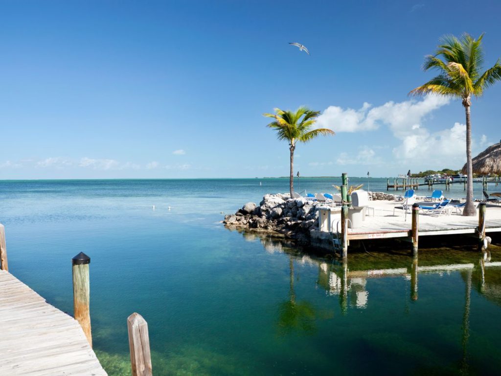 Vista panoramica del mare cristallino a Key Largo, Florida, con un molo in legno, sedie a sdraio e palme al sole.