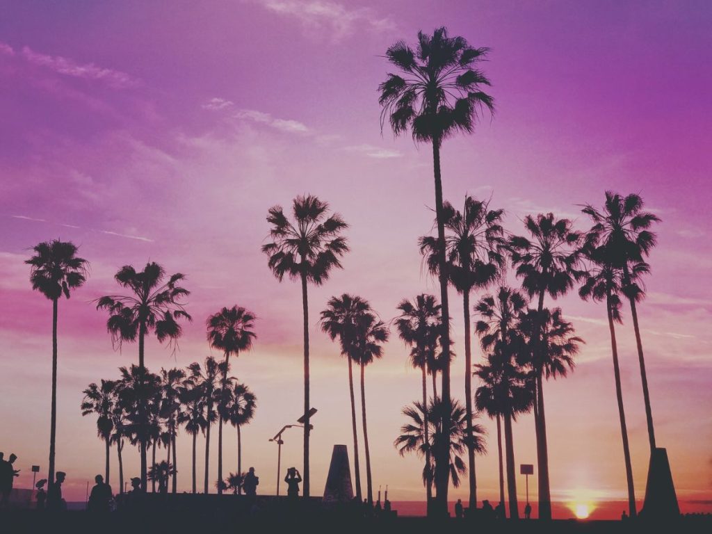 Silhouette di alte palme contro un cielo sfumato di rosa e viola durante il tramonto a Miami, da vedere durante il viaggio in Florida in 7 giorni.
