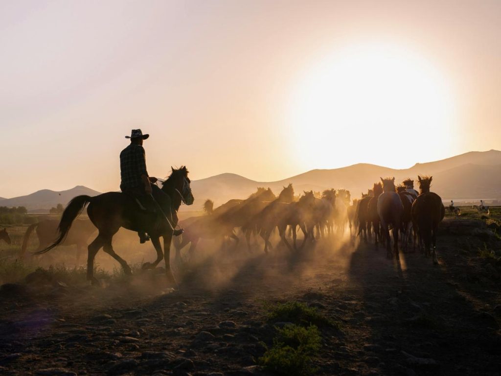 Un cowboy a cavallo ripreso di spalle mentre guida una mandria di cavalli al galoppo su un sentiero sterrato, avvolti dalla polvere e illuminati dalla luce calda del sole basso all'orizzonte.