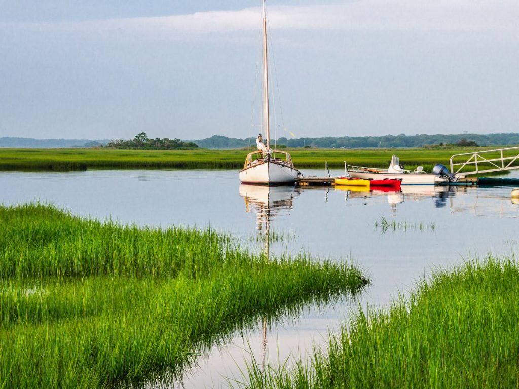 Una barca a vela e piccole imbarcazioni ormeggiate in un molo lungo una baia tranquilla a Cape Cod, circondate da un rigoglioso prato verde e vegetazione palustre.