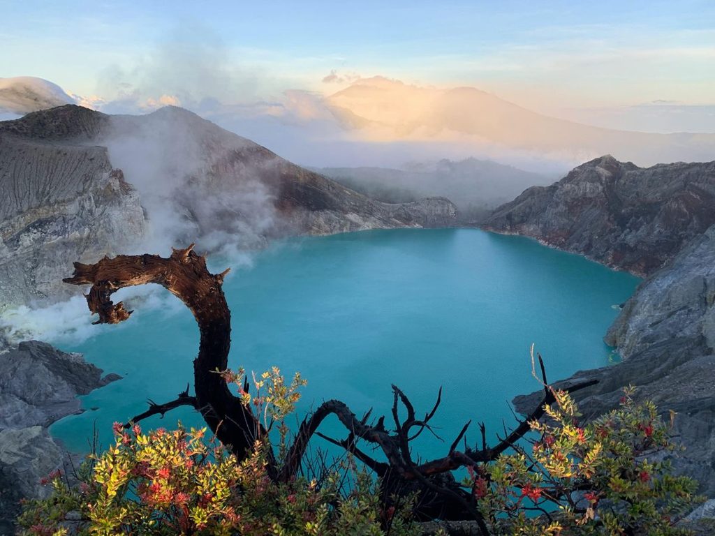 Il lago acido turchese del cratere Kawah Ijen a Giava incorniciato da rami secchi e vegetazione vulcanica.