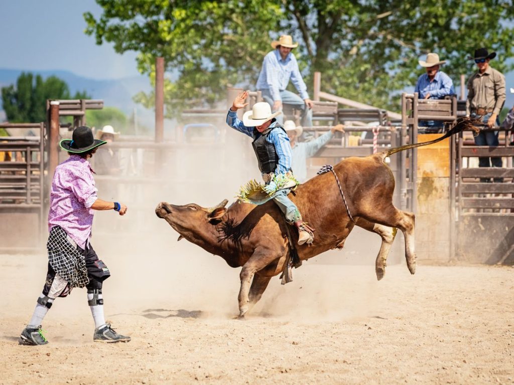 Scena d'azione durante un rodeo in cui un cowboy cerca di rimanere in equilibrio in groppa a un toro infuriato al centro di un'arena sabbiosa. Esperienza da vivere nel vecchio West degli Stati Uniti.