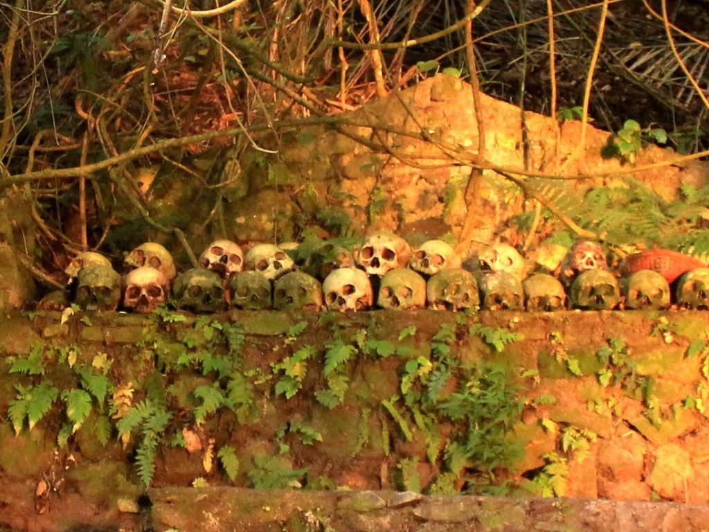 Teschi allineati su un muretto di pietra coperto di muschio e felci nell’area funeraria di Trunyan, a Bali.
